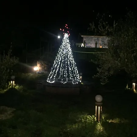 Etna *