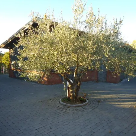 Chalet Etna *